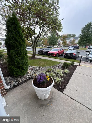 a view of a garden with cars parked