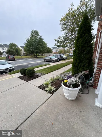 a view of a backyard with couple of potted plants