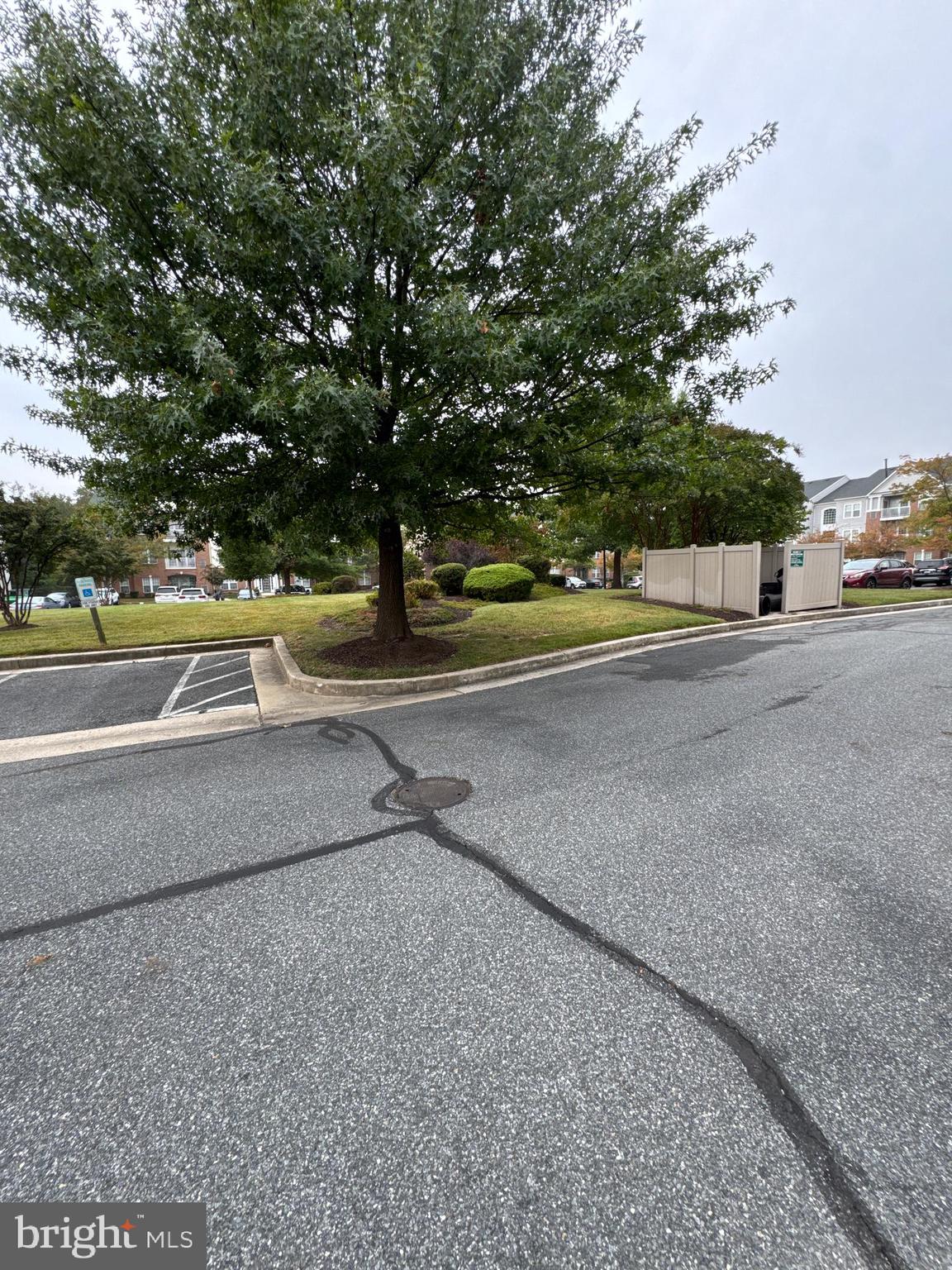 5144 Brightleaf Court, Unit 5144 Rosedale, MD 21237 - Photo 38 of 47 a view of a yard with a tree