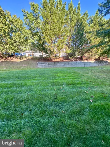 a view of yard with green space