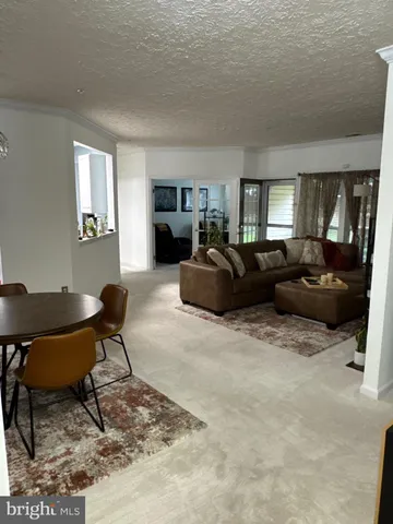 a living room with furniture a rug and a window