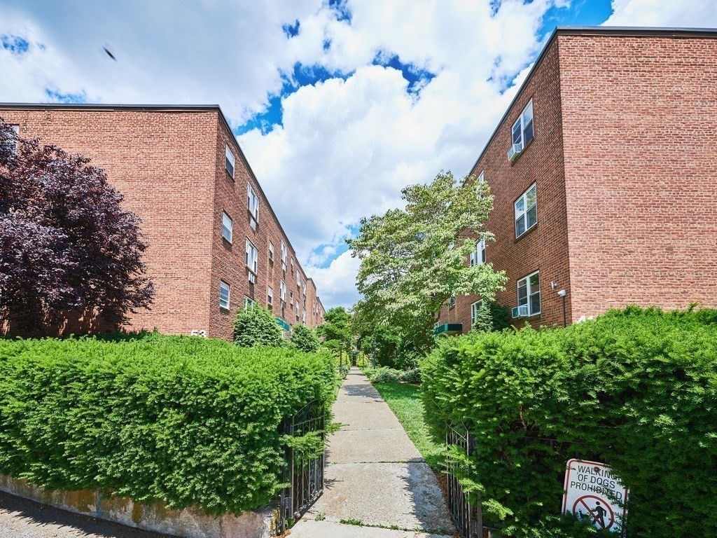 49 Colborne Road, Unit 5 Boston, MA 02135 - Photo 13 of 14