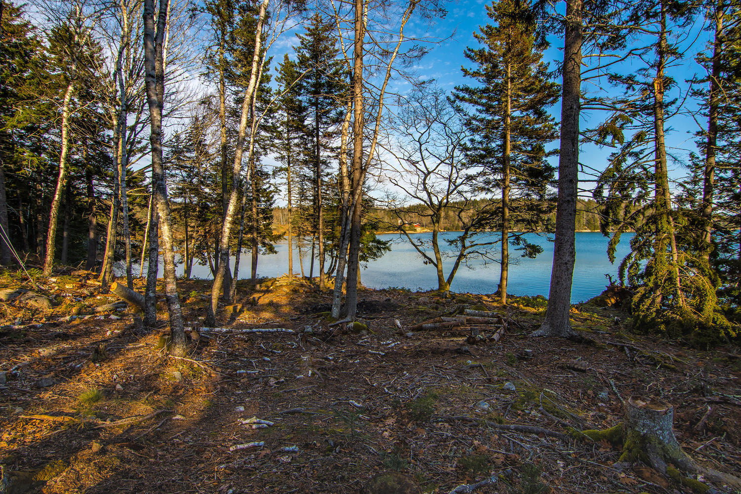 35 Tennis Road Deer Isle, ME 04627 - Photo 12 of 34 35 Tennis Road Deer Isle ME-large-035-03