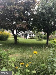 9974 Dungan Road Philadelphia, PA 19115 - Photo 4 of 30 Rear yard