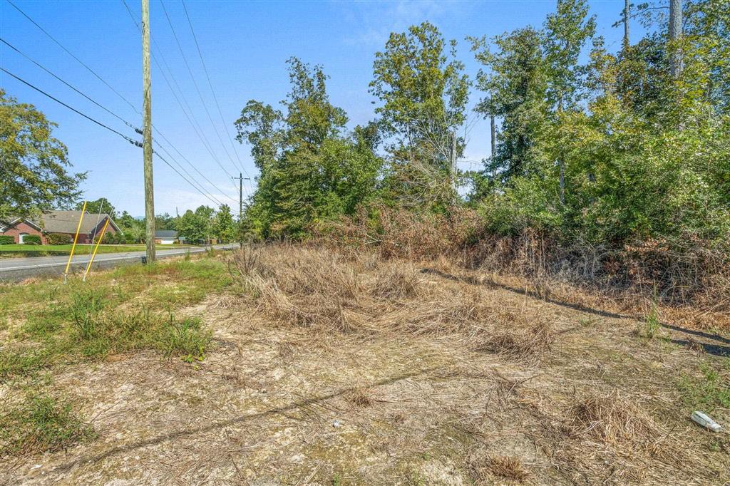 Tbd Tbd Goos Ferry Rd Lake Lake Charles, LA 70611 - Photo 6 of 10