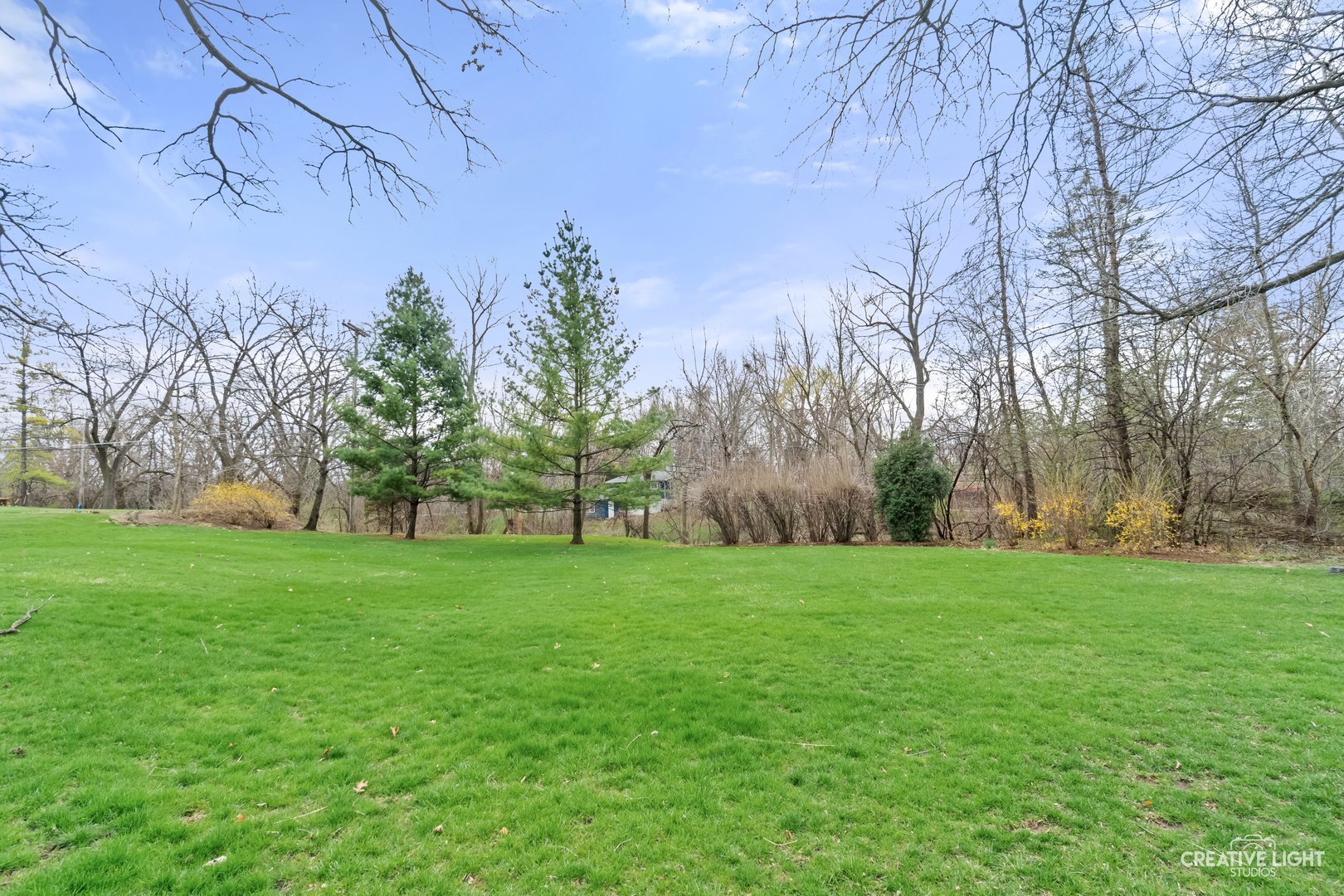 1005 Meadow Lane Elgin, IL 60123 - Photo 21 of 22 a view of a field of grass and trees