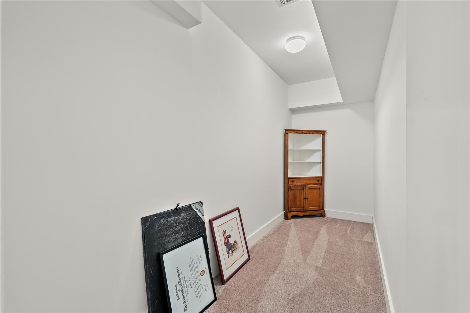 6833 Falls Ridge Lane College Grove, TN 37046 - Photo 57 of 70