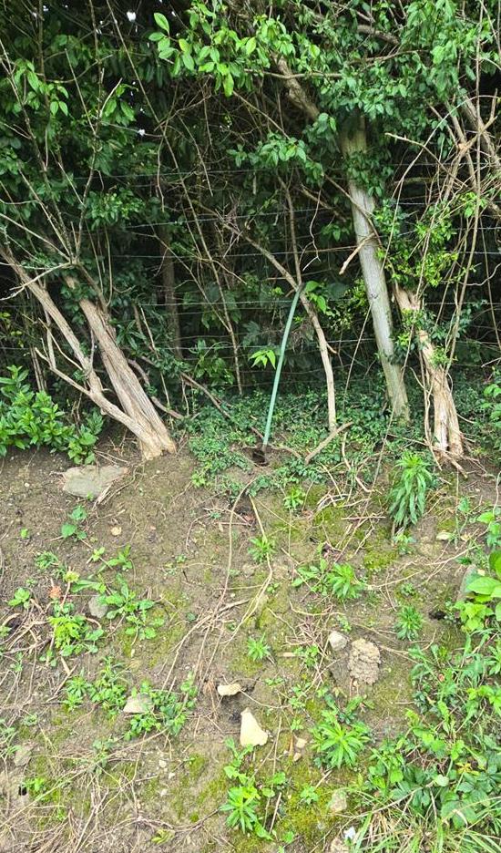 5143 North Hogan Road Aurora, IN 47001 - Photo 24 of 24 Natural spring just across the fence on the neighbor's property. There may be a potential to tap into this spring on this property.