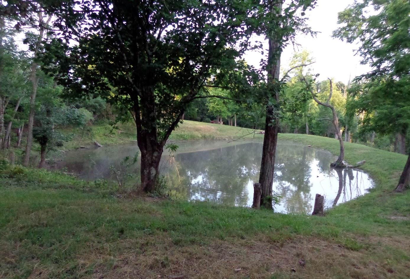 5143 North Hogan Road Aurora, IN 47001 - Photo 5 of 24 a 1/4 acre pond located at the top of the property provides the perfect setting for outings or a cabin. It is fully stocked. The trail to the pond is easily accessible by vehicle.