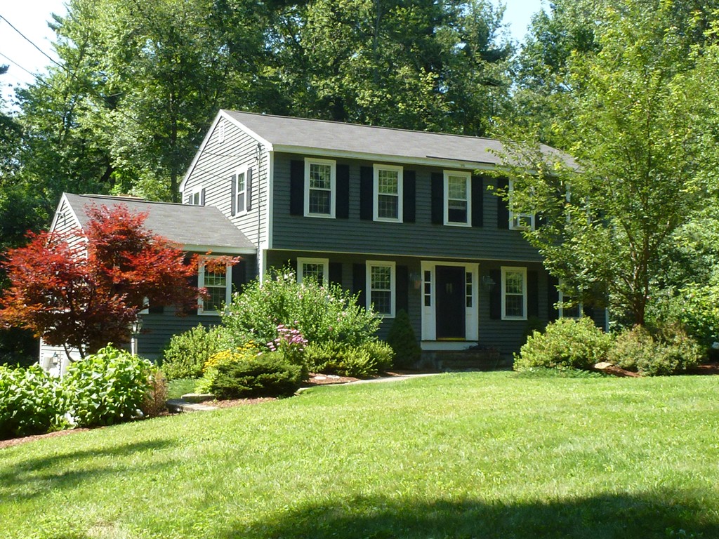 a front view of a house with a yard and plants