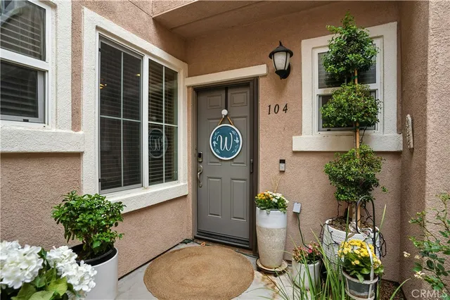 a potted plant sitting in front of a house