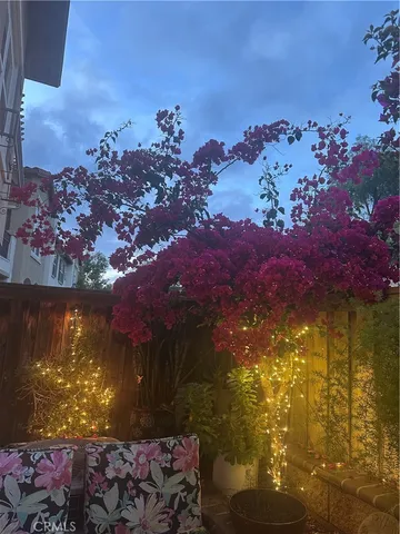 a view of a swimming pool with a yard and plants