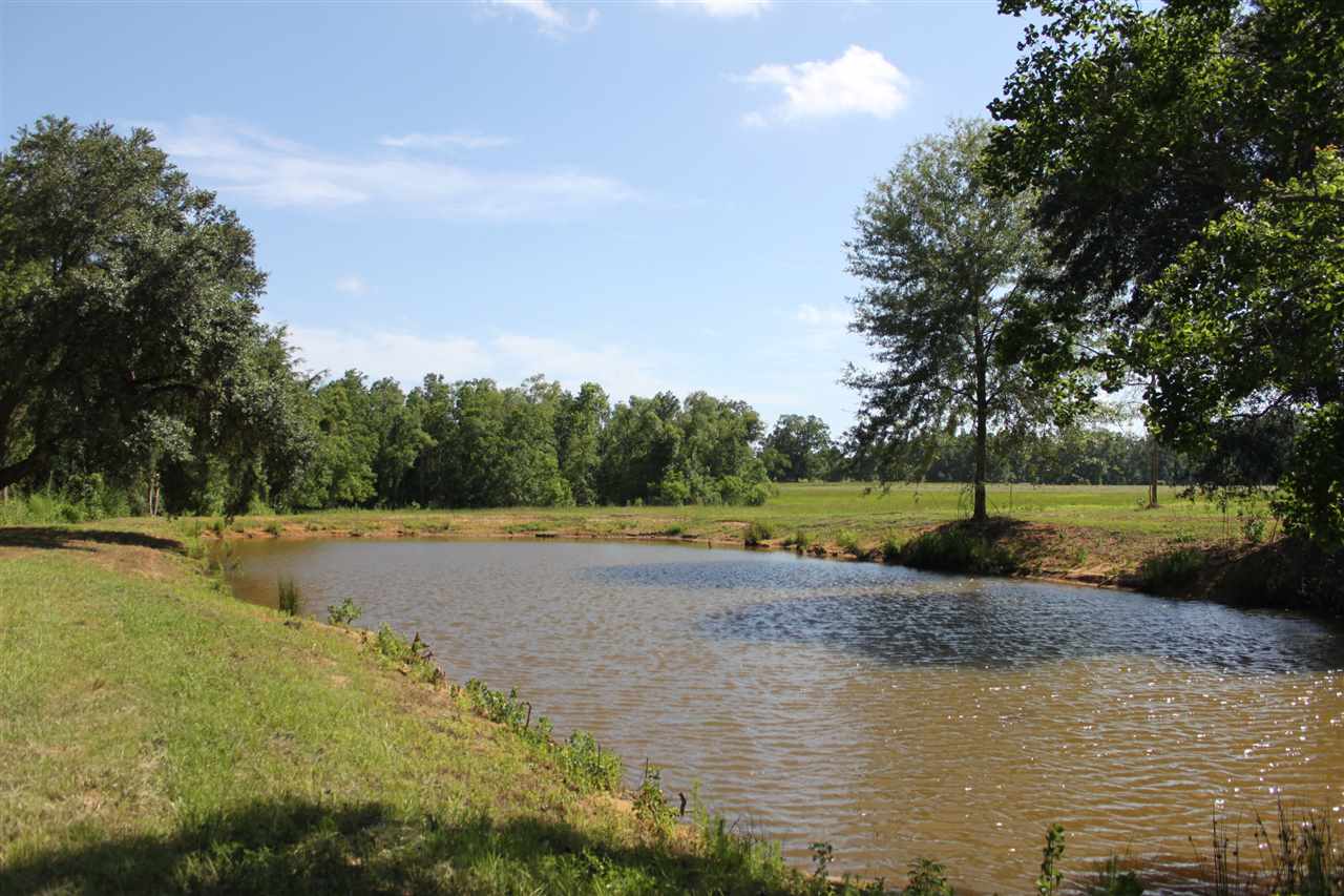 62 South Robertsdal Al Robertsdale, AL 36567 - Photo 1 of 6