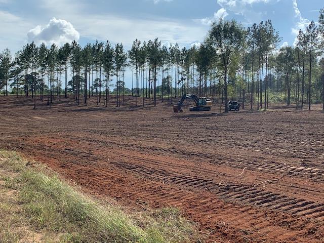 0 County Road Headland, AL 36345 - Photo 7 of 7