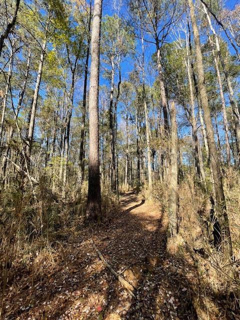 2 Fish Road Ridgeville, SC 29472 - Photo 16 of 17 IMG_6161