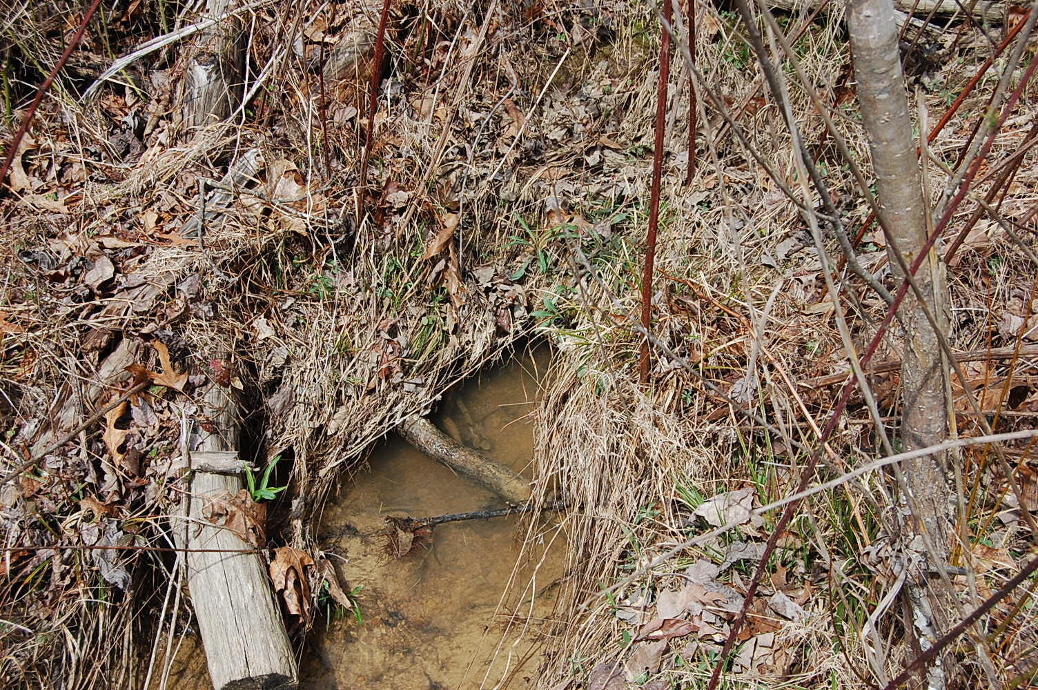 2247 Tipple Road Tracy City, TN 37387 - Photo 54 of 54 DSC_0052