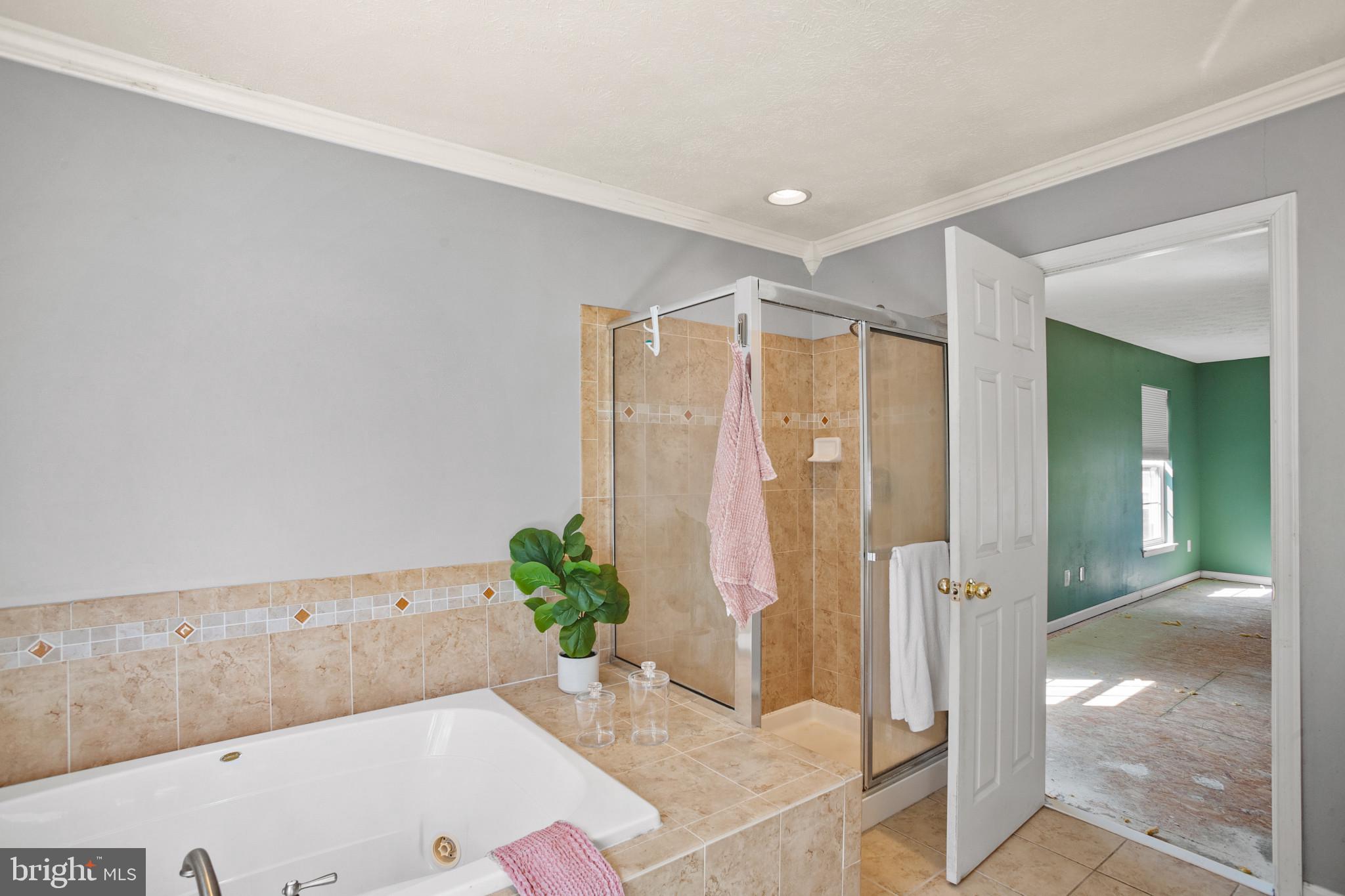 1706 Cattail Commons Way Denton, MD 21629 - Photo 23 of 46 Soaking tub & separate shower