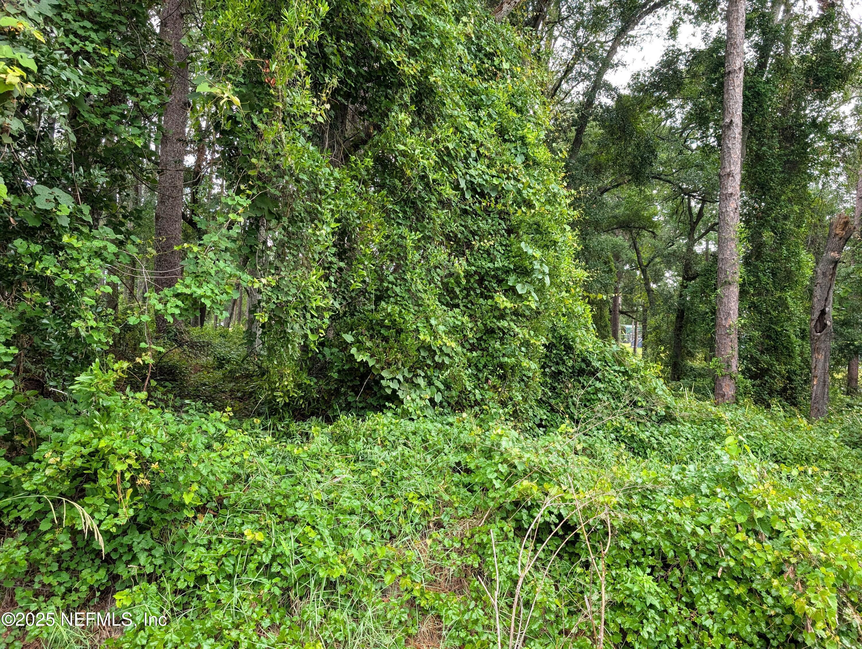 0 Southeast 1st Avenue Keystone Heights, FL 32656 - Photo 2 of 7 1