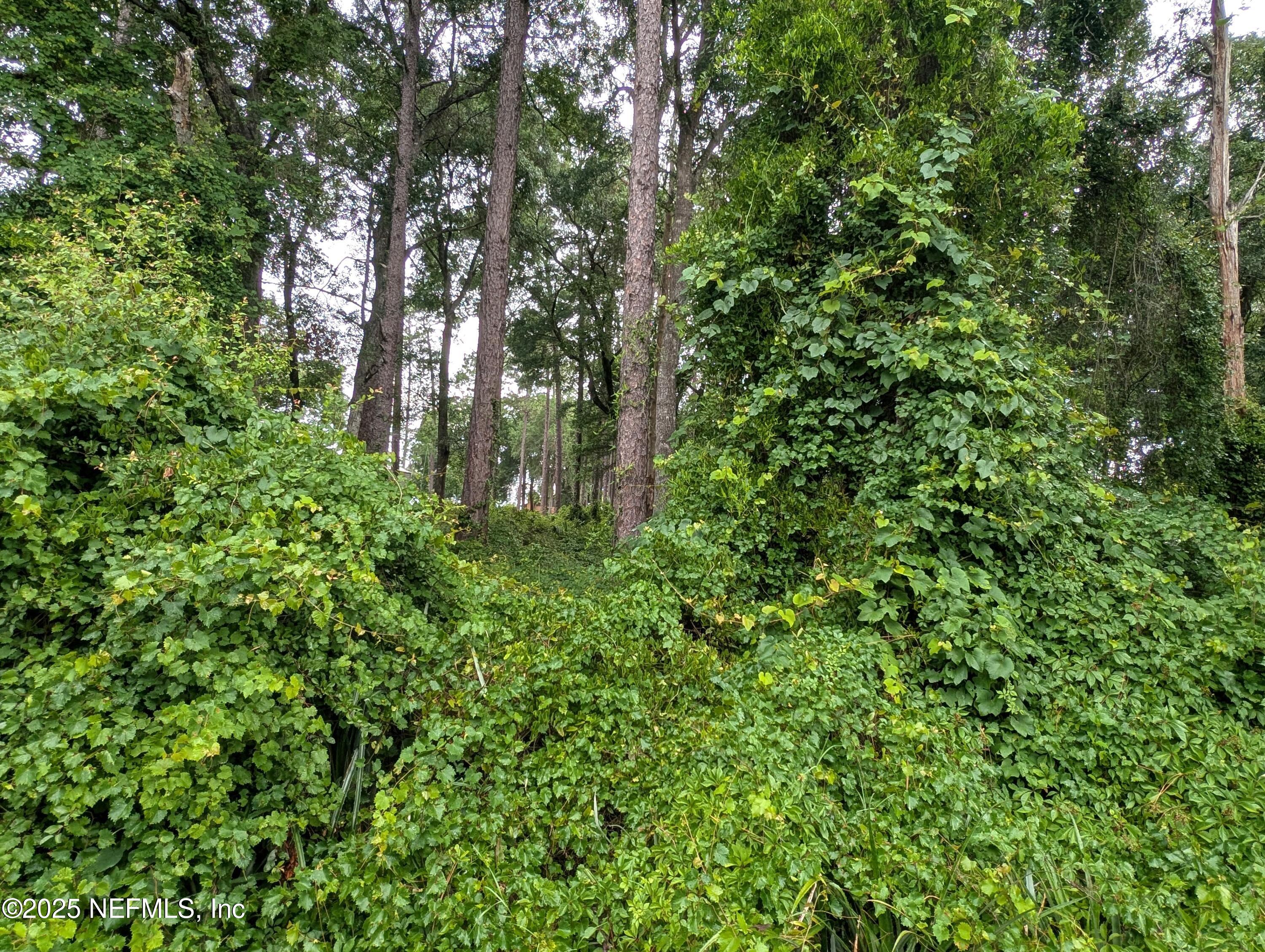 0 Southeast 1st Avenue Keystone Heights, FL 32656 - Photo 3 of 7 2