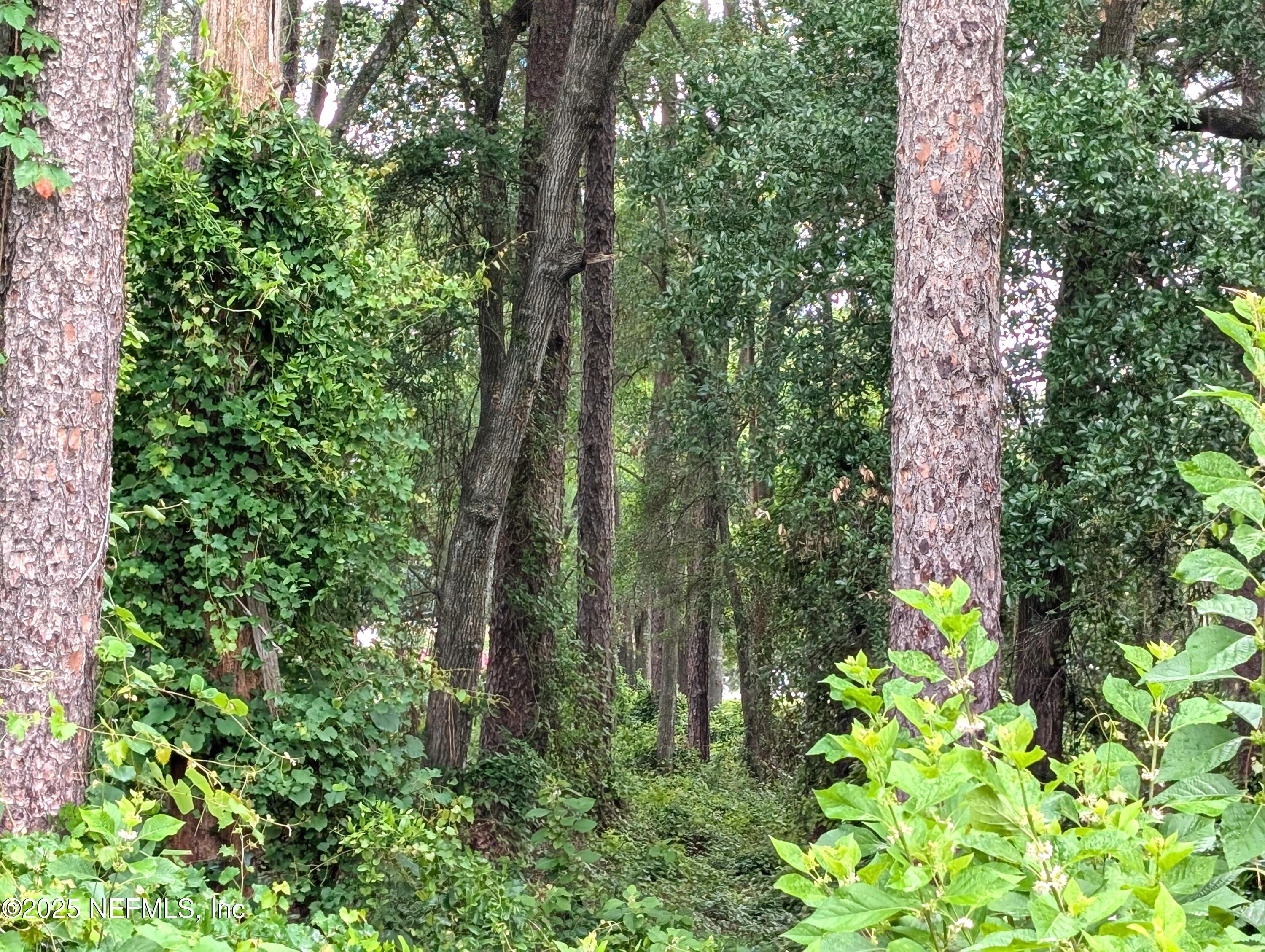 0 Southeast 1st Avenue Keystone Heights, FL 32656 - Photo 4 of 7 3