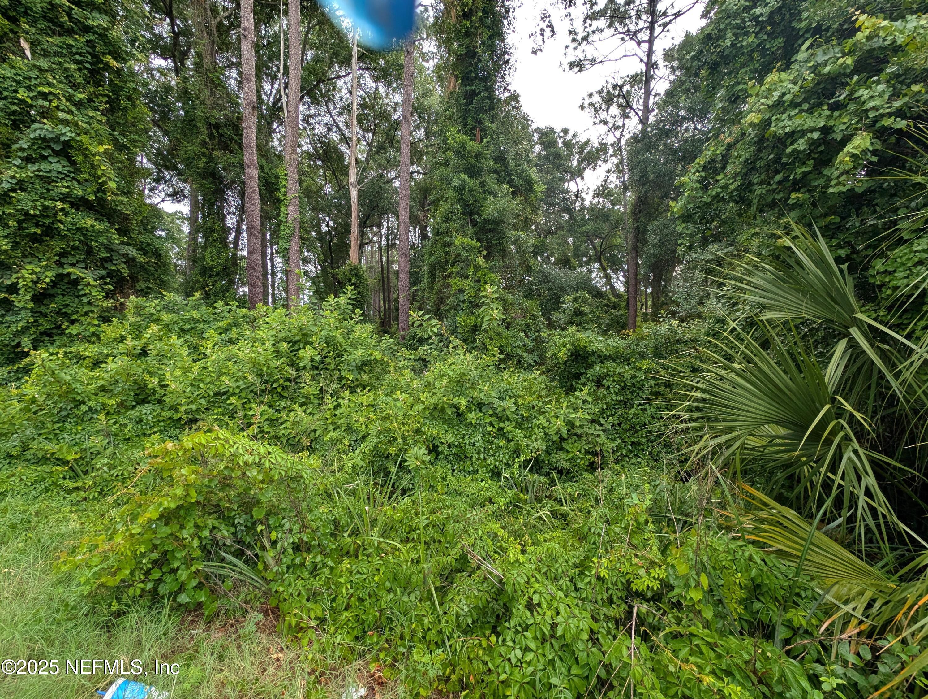 0 Southeast 1st Avenue Keystone Heights, FL 32656 - Photo 5 of 7 5