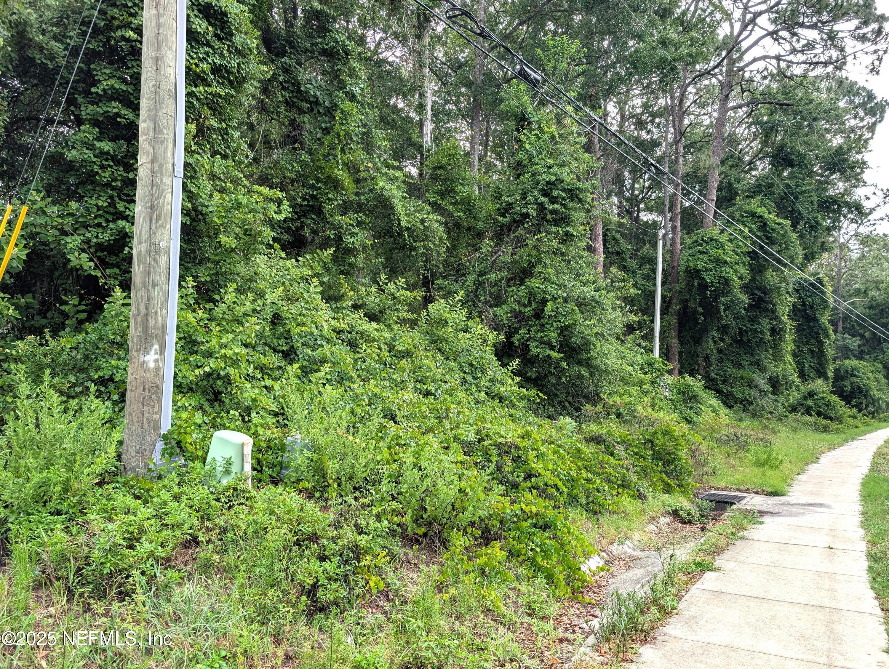 0 Southeast 1st Avenue Keystone Heights, FL 32656 - Photo 7 of 7 7