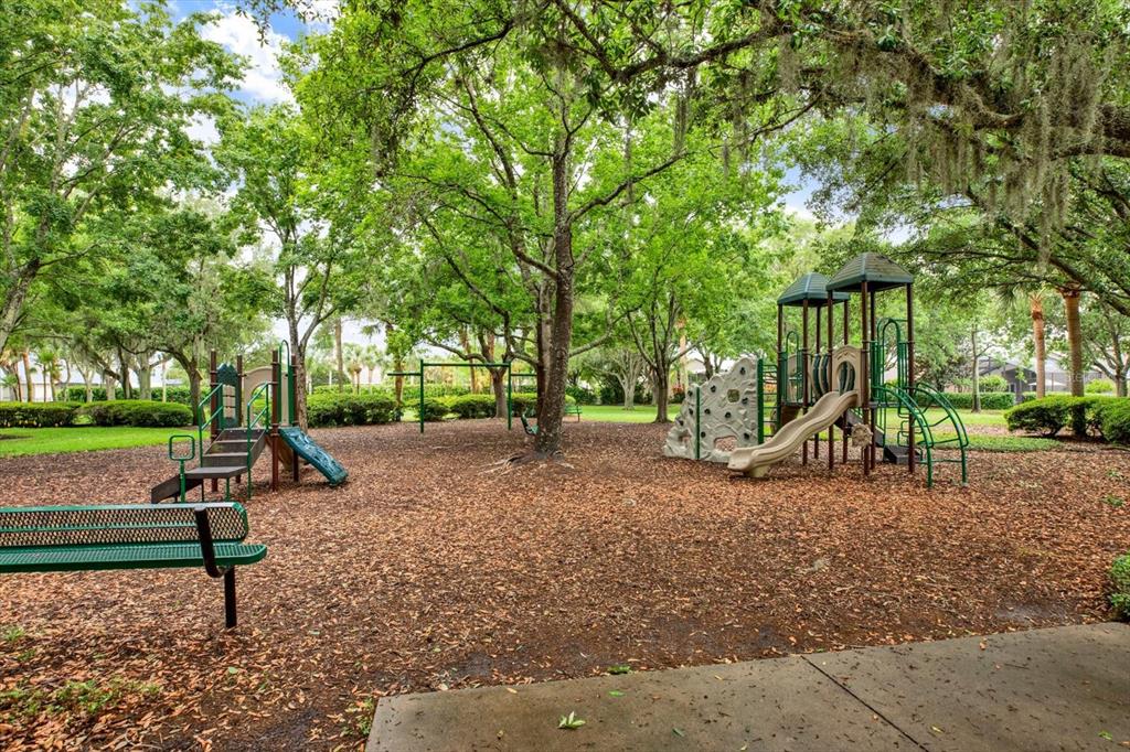 2021 Meadow Rue Court Trinity, FL 34655 - Photo 40 of 41 a park with kid zone