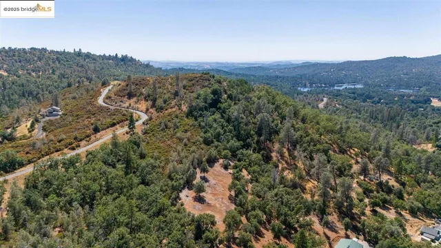 a view of a forest with a street