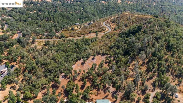 a view of a lush green hillside and a mountain