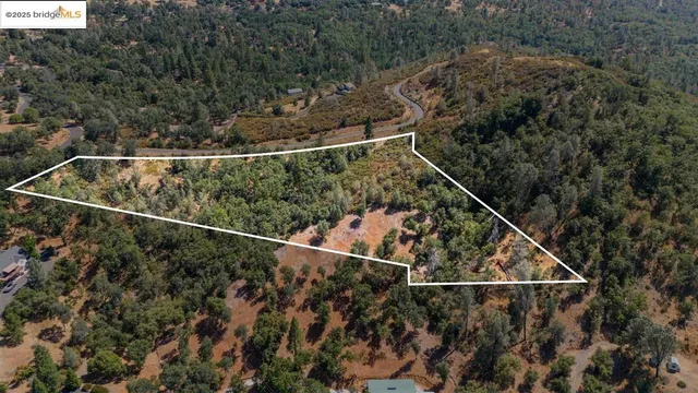 a view of a yard with a house in the background
