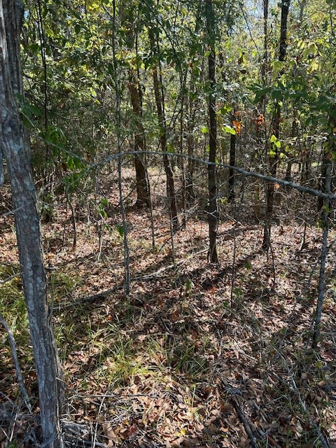 0 Lot 9 Catfish Cove Road Waterloo, SC 29384 - Photo 16 of 20 Gallery Image 16