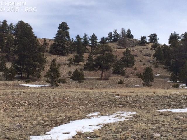 Lakeview Road Hartsel, CO 80449 - Photo 2 of 5