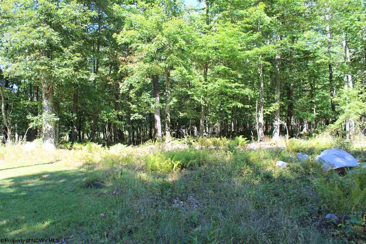 2977 Cranesville Road Terra Alta, WV 26764 - Photo 12 of 15 Gallery Image 12