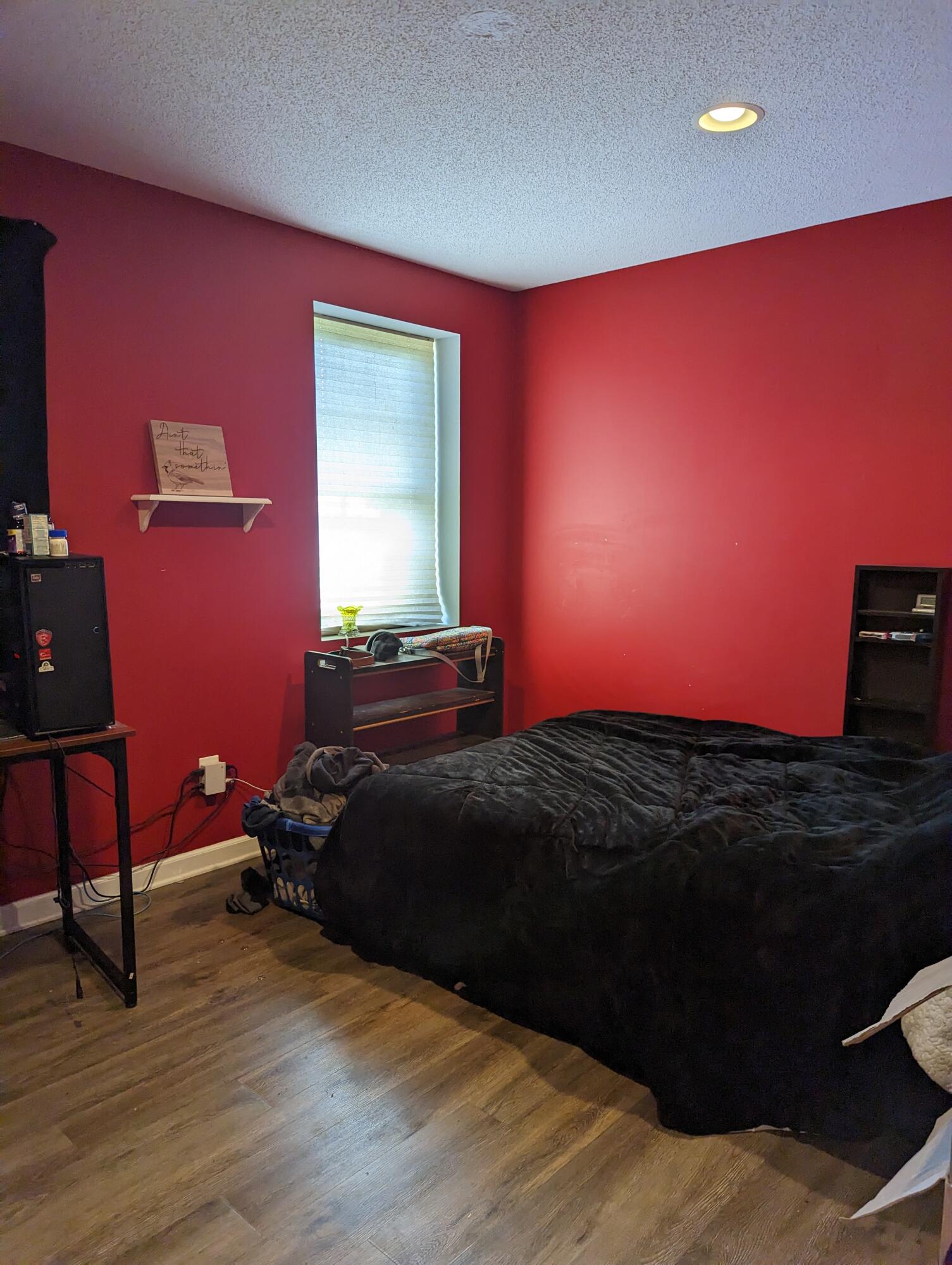 505 Pinto Road Greeneville, TN 37745 - Photo 20 of 24 PXL_20230214_184720662