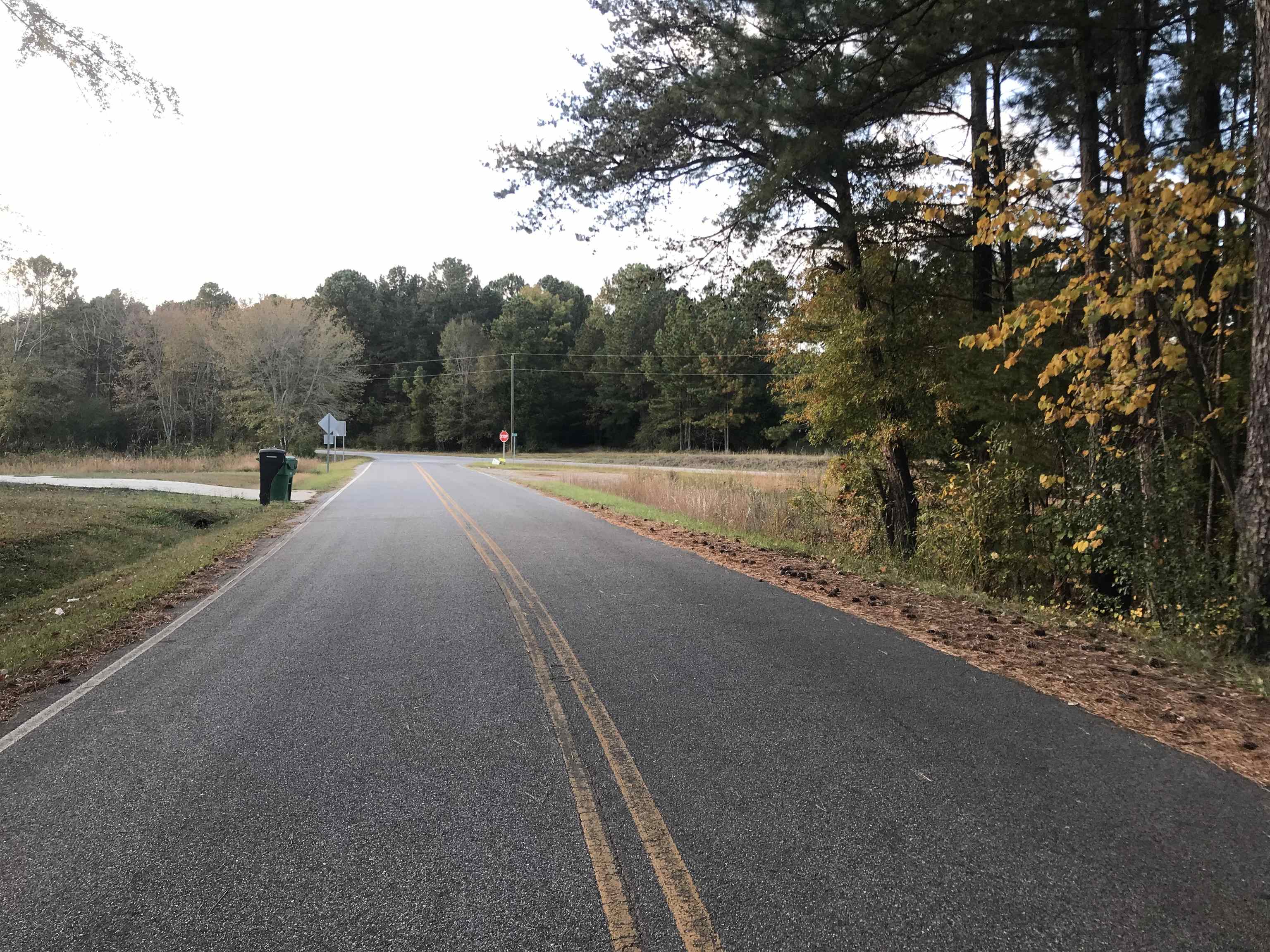 0 Crenshaw Road Gaffney, SC 29340 - Photo 3 of 19