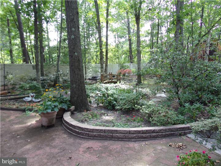 534 Berlin New Freedom Road Berlin, NJ 08009 - Photo 23 of 23 Gallery Image 23