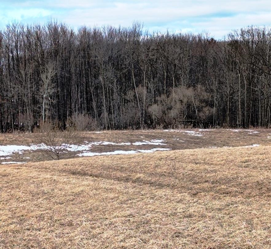 11 Crow Road Willard, WI 54493 - Photo 1 of 5
