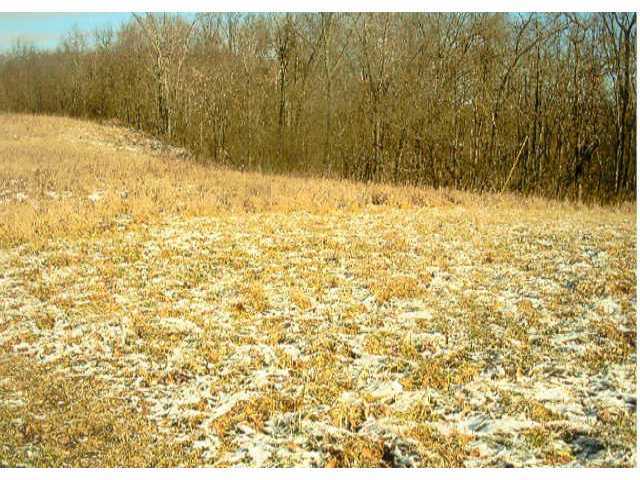 Lot 25 Rough And Ready Road New Concord, OH 43762 - Photo 1 of 1 Gallery Image 1