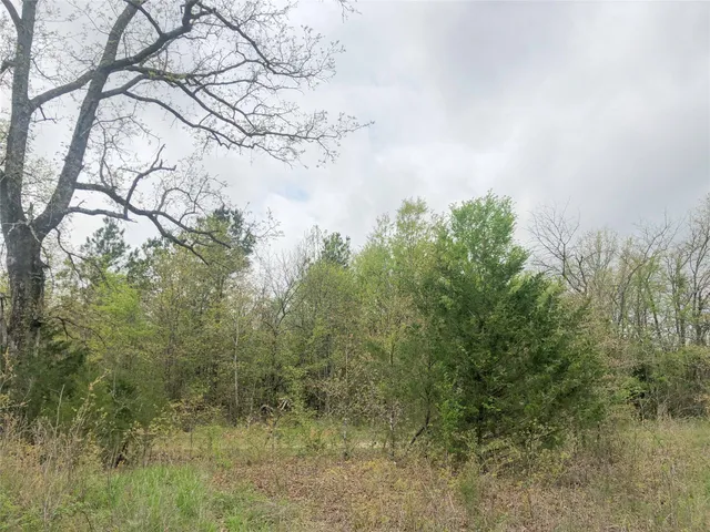 $2,691,150 | 0 Cr 4640 Avery Tx 75554, De Kalb, TX 75559