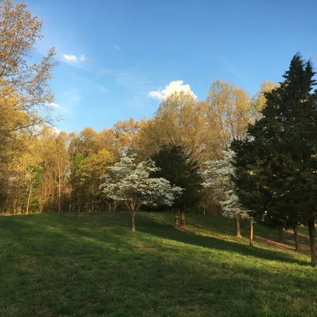 5954 Valley Road, Springfield, TN 37172