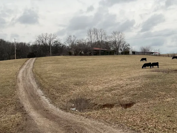 5954 Valley Road, Springfield, TN 37172