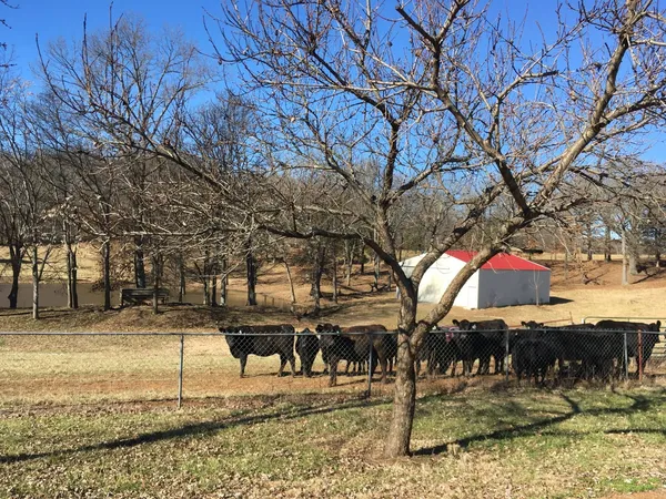 5954 Valley Road, Springfield, TN 37172