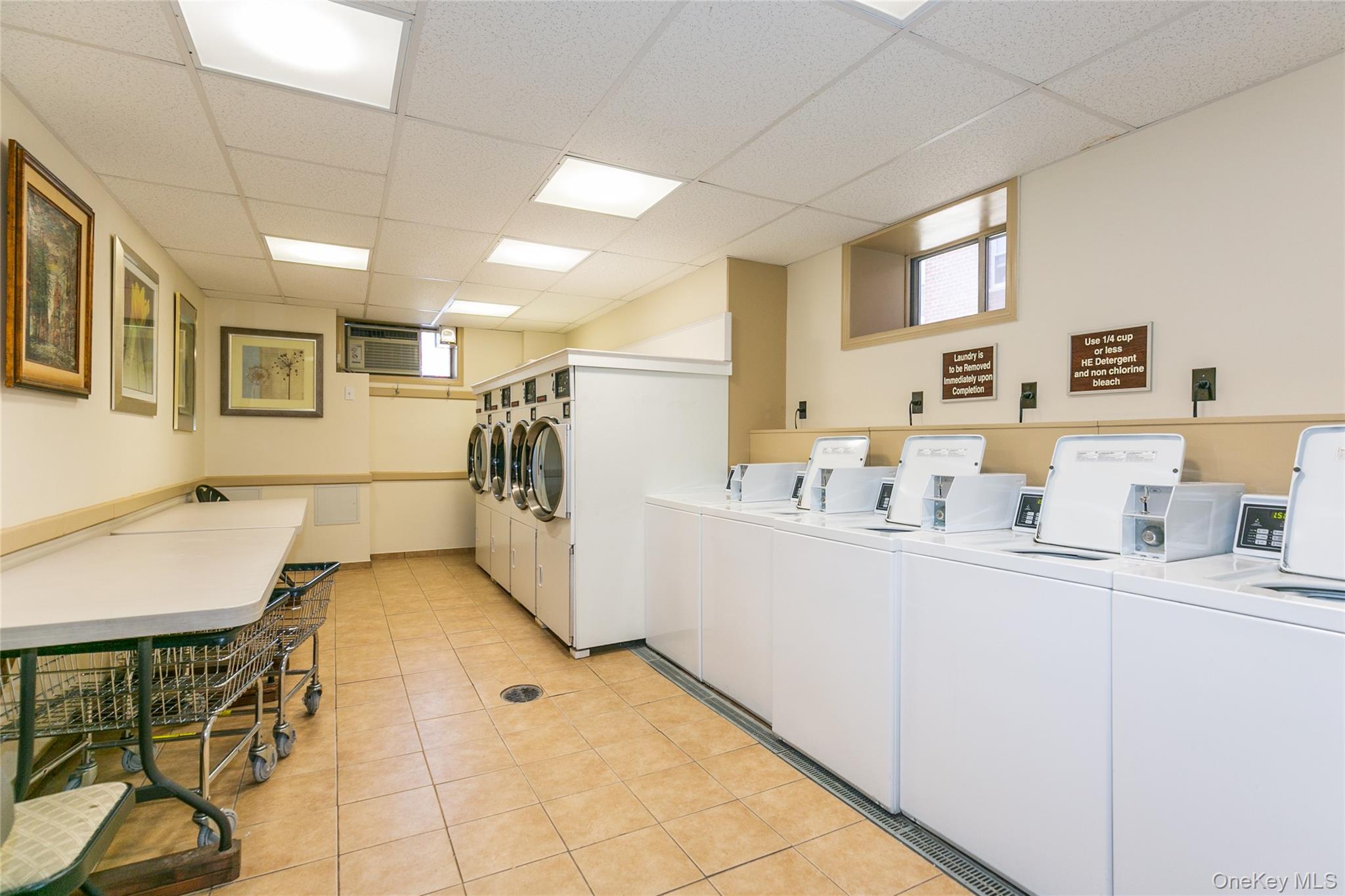 75 South Middle Neck Road, Unit 4A Great Neck, NY 11021 - Photo 17 of 22 LAUNDRY ROOM IN LOBBY
