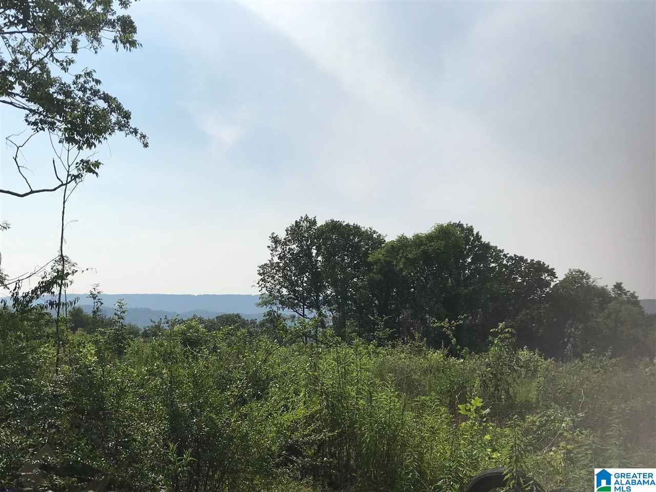 5827 Chandler Mountain Road Steele, AL 35987 - Photo 7 of 8