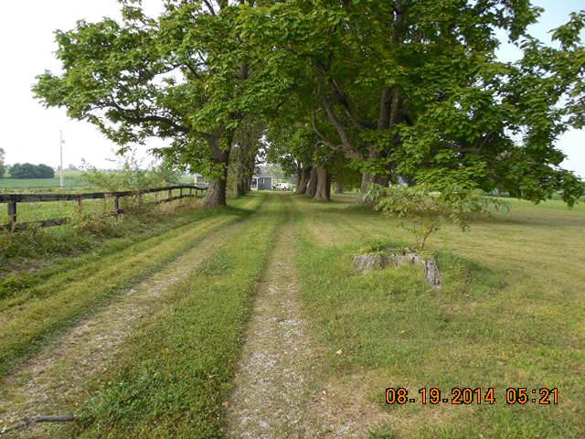 10820 Deep Cut Road Millersport, OH 43046 - Photo 9 of 33