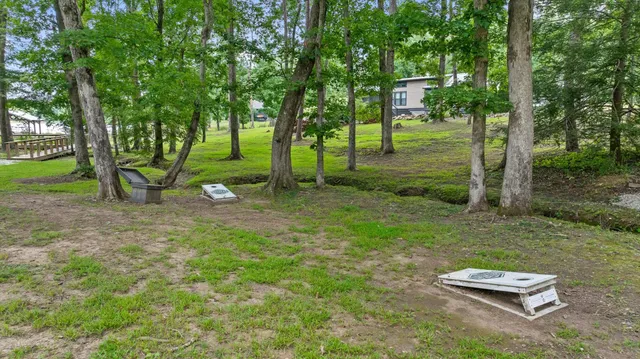 a view of a backyard