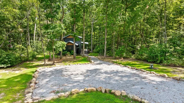 a view of a park with plants and trees
