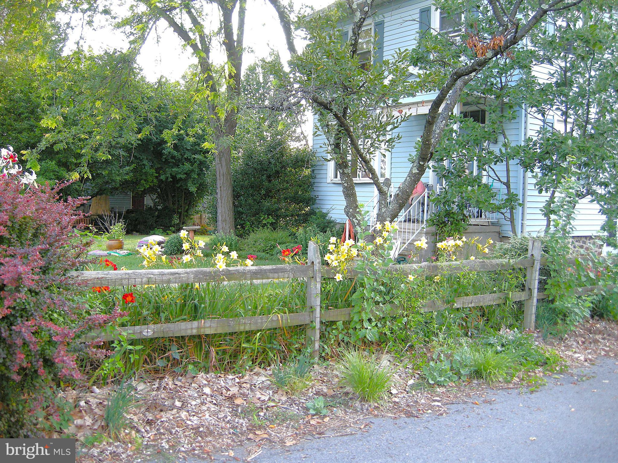 2008 Hillcrest Road Baltimore, MD 21207 - Photo 16 of 22 Day Lillies