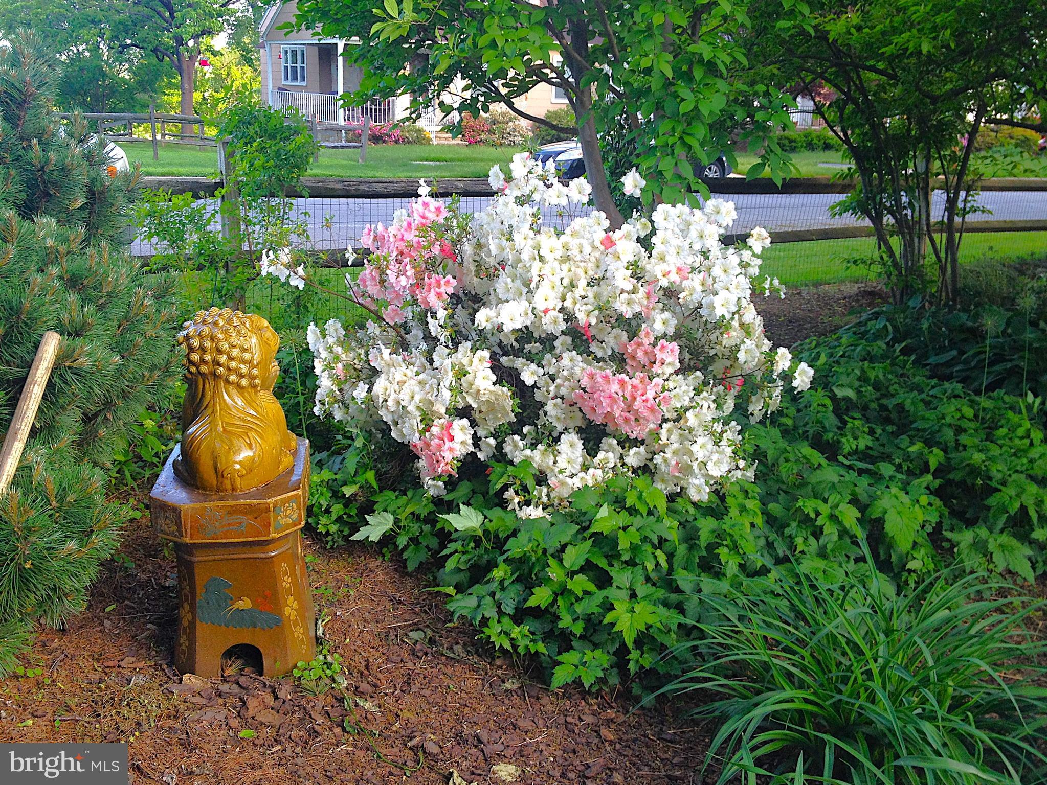 2008 Hillcrest Road Baltimore, MD 21207 - Photo 17 of 22 Front Corner Garden in Bloom