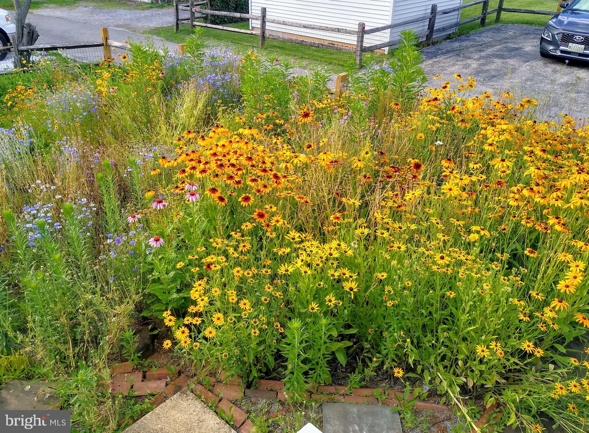 2008 Hillcrest Road Baltimore, MD 21207 - Photo 19 of 22 Rear Flower Meadow in Bloom